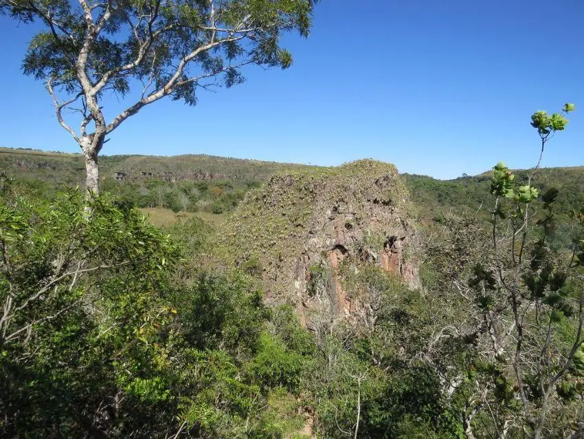 Sandstone cliffs and forest in Chapada dos Guimarães