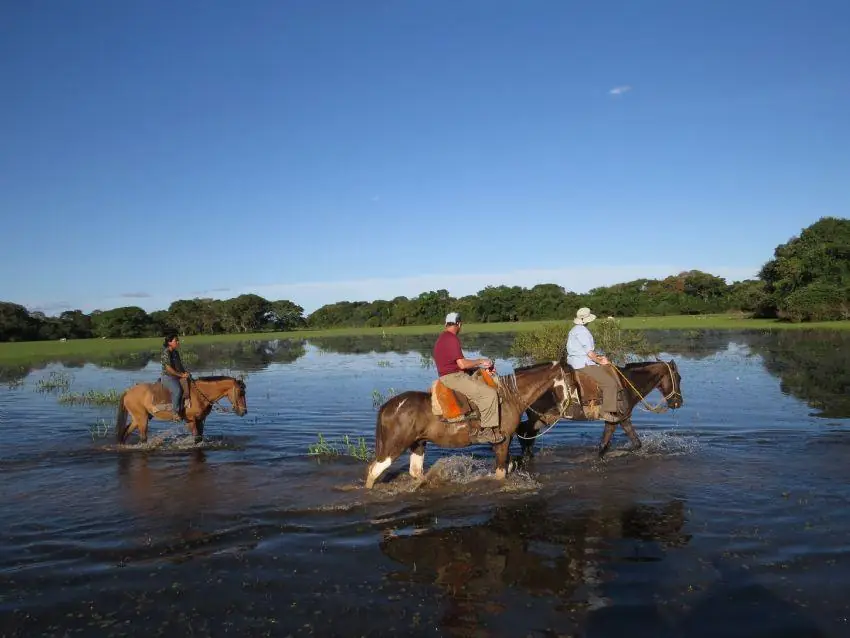 Riders crossing flooded grassland